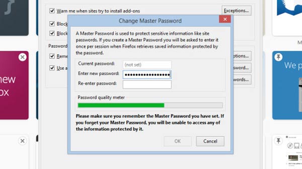 Master Password