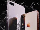 iPhone 8 & iPhone 8 Plus- Release Dates, Price, Tech Specs And More